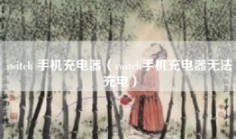 switch 手机充电器（switch手机充电器无法充电）