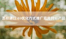 怎样通过SEO优化方式推广宣传网站产品