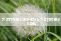外贸网站建设哪家比较好外贸网站建设北镇市