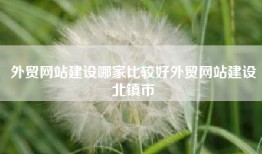 外贸网站建设哪家比较好外贸网站建设北镇市