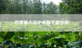 百度输入法小米版下载安装