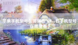 苹果手机型号在哪里看（vivo看手机型号在哪里看）
