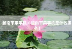 越南苹果手机（越南苹果手机是什么版本）