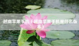 越南苹果手机（越南苹果手机是什么版本）