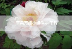 苹果万能小组件app下载