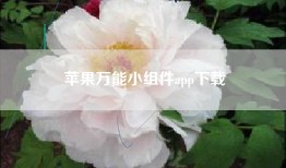 苹果万能小组件app下载