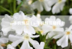 ps手机预览（ps手机预览插件）