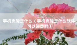 手机克隆是什么（手机克隆是什么软件可以卸载吗）