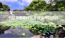 小红书搜索什么关键词可以找到