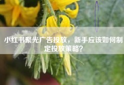小红书聚光广告投放，新手应该如何制定投放策略？