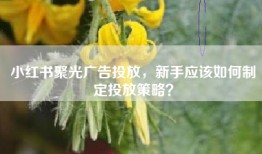 小红书聚光广告投放，新手应该如何制定投放策略？