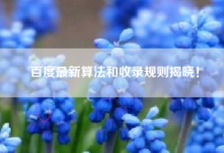 百度最新算法和收录规则揭晓！