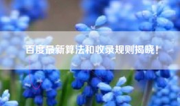 百度最新算法和收录规则揭晓！
