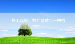 白手起家：推广网站二十四招