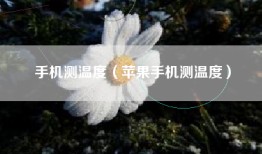 手机测温度（苹果手机测温度）