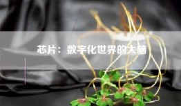芯片：数字化世界的大脑