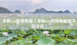 手机usb连接电脑（手机usb连接电脑看不到文件）