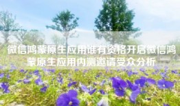微信鸿蒙原生应用谁有资格开启微信鸿蒙原生应用内测邀请受众分析
