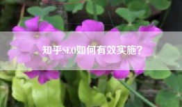 知乎SEO如何有效实施？
