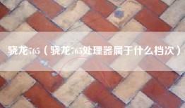 骁龙765（骁龙765处理器属于什么档次）