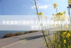 手机象棋打谱软件（手机中国象棋打谱软件）
