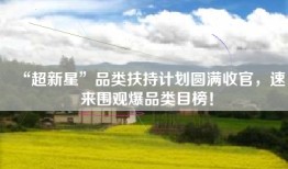 “超新星”品类扶持计划圆满收官，速来围观爆品类目榜！