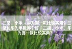 三星、小米、华为哪一款比较实用？三星和华为手机哪个好「三星、小米、华为哪一款比较实用？」