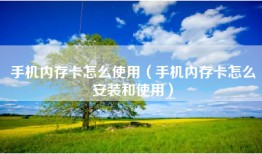 手机内存卡怎么使用（手机内存卡怎么安装和使用）