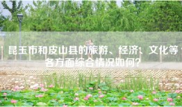昆玉市和皮山县的旅游、经济、文化等各方面综合情况如何？