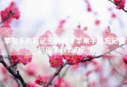 苹果手机忘记密码锁（苹果手机忘记密码锁了怎么办？）
