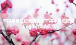 苹果手机忘记密码锁（苹果手机忘记密码锁了怎么办？）