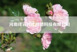 河南祥云时代网络科技有限公司