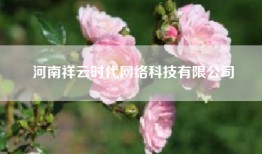 河南祥云时代网络科技有限公司
