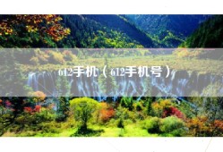 612手机（612手机号）