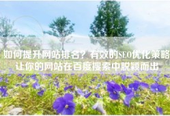 如何提升网站排名？有效的SEO优化策略让你的网站在百度搜索中脱颖而出