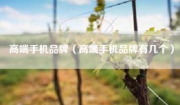 高端手机品牌（高端手机品牌有几个）