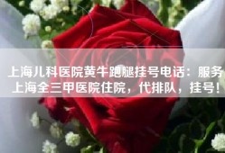 上海儿科医院黄牛跑腿挂号电话：服务上海全三甲医院住院，代排队，挂号！