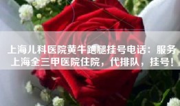 上海儿科医院黄牛跑腿挂号电话：服务上海全三甲医院住院，代排队，挂号！
