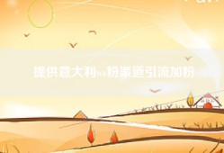提供意大利wz粉渠道引流加粉