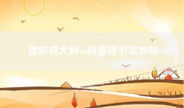 提供意大利wz粉渠道引流加粉