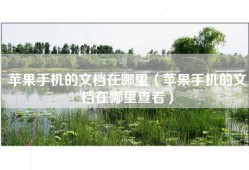 苹果手机的文档在哪里（苹果手机的文档在哪里查看）