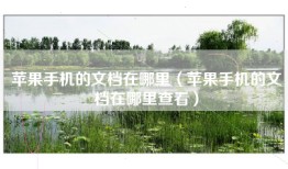 苹果手机的文档在哪里（苹果手机的文档在哪里查看）