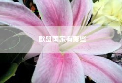 欧盟国家有哪些