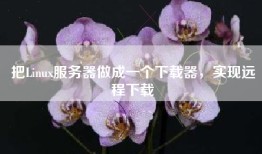 把Linux服务器做成一个下载器，实现远程下载