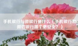 手机银行与微银行是什么（手机银行和微信银行哪个更安全？）