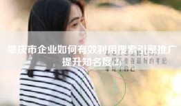 肇庆市企业如何有效利用搜索引擎推广提升知名度(2)