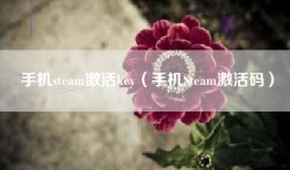 手机steam激活key（手机Steam激活码）