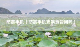 防震手机（防震手机支架真管用吗）