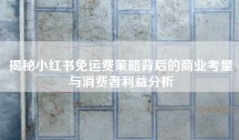 揭秘小红书免运费策略背后的商业考量与消费者利益分析