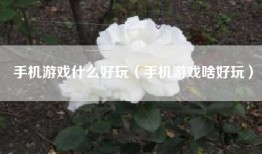 手机游戏什么好玩（手机游戏啥好玩）